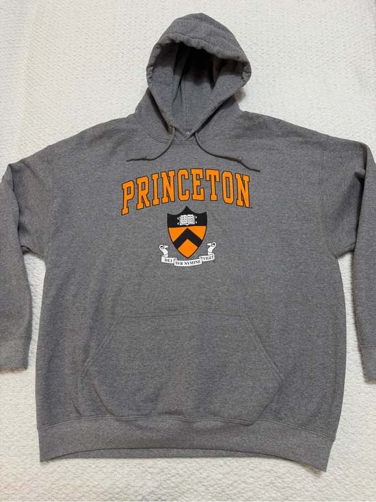 Gildan Other - Princeton Heritage Hooded Sweatshirt Grey Pullover Men’s Size XL